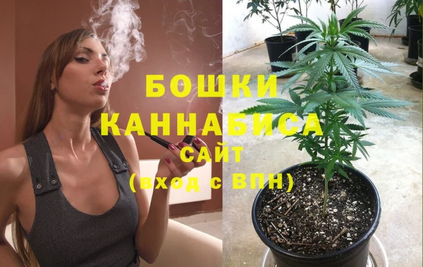 сатива Ветлуга