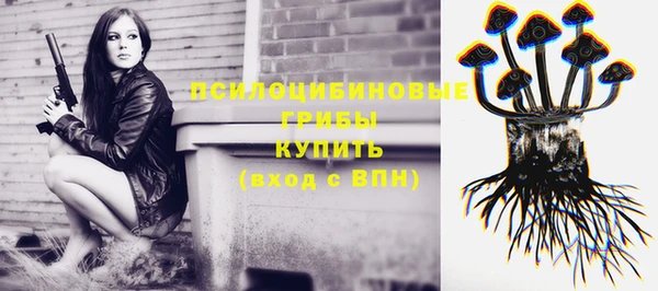 твердый Богородск
