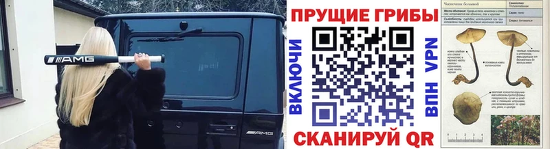 дарнет шоп Дигора МЕГА онион Псилоцибиновые грибы Psilocybine cubensis